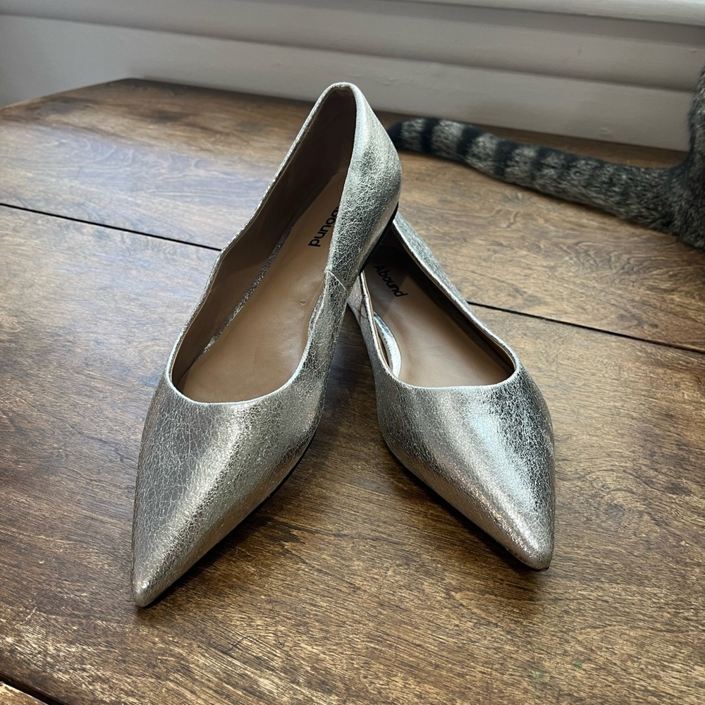 Silver Pointed Flats